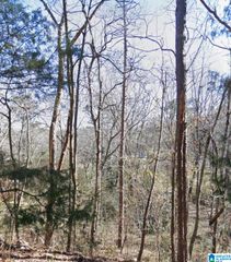 0 RIDGELY DRIVE, Anniston, AL 36207