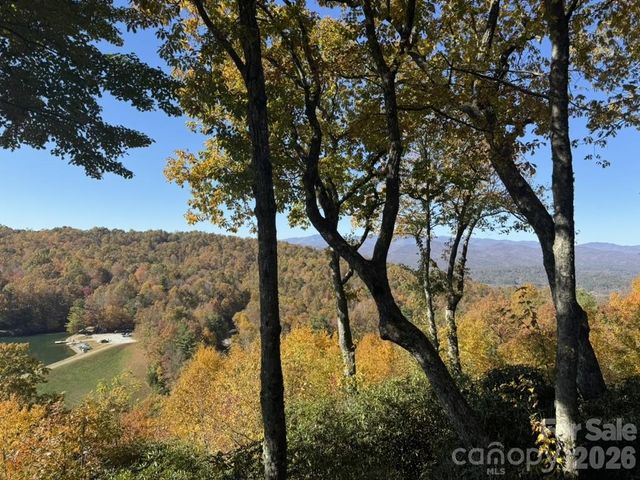 298 Tinequa Drive, Brevard, NC 28712