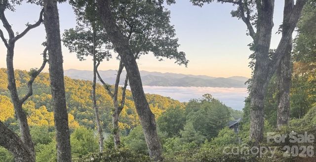298 Tinequa Drive, Brevard, NC 28712