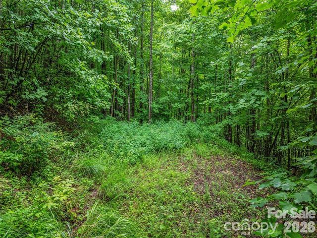 71 Kestrel Lane C-8, Black Mountain, NC 28711