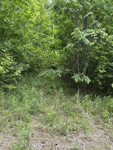 225 Hollow Road, Whitwell, TN 37397