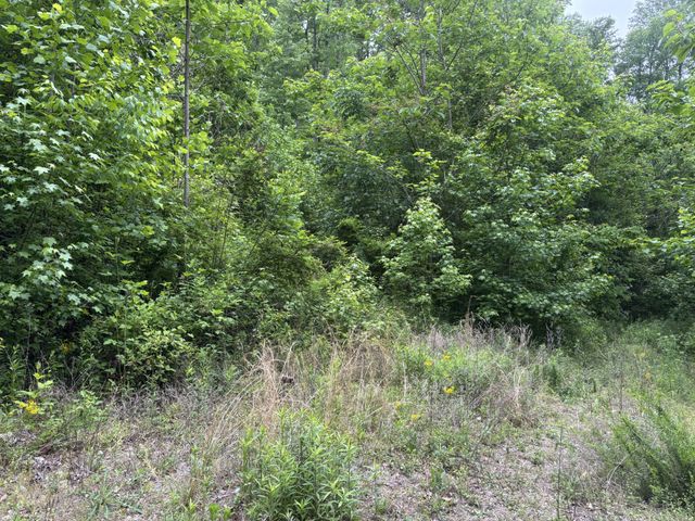 225 Hollow Road, Whitwell, TN 37397