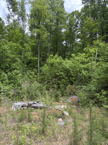 225 Hollow Road, Whitwell, TN 37397