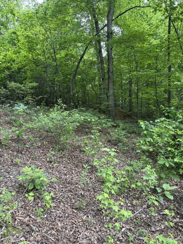 225 Hollow Road, Whitwell, TN 37397