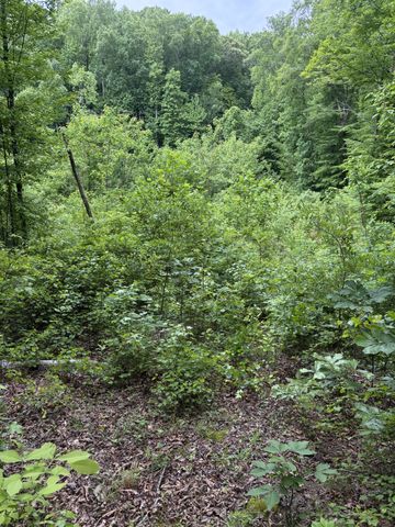 225 Hollow Road, Whitwell, TN 37397