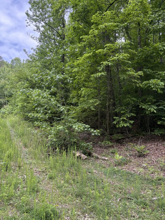 225 Hollow Road, Whitwell, TN 37397