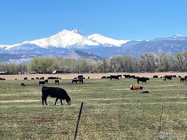 13155 N 75th St, Longmont, CO 80503