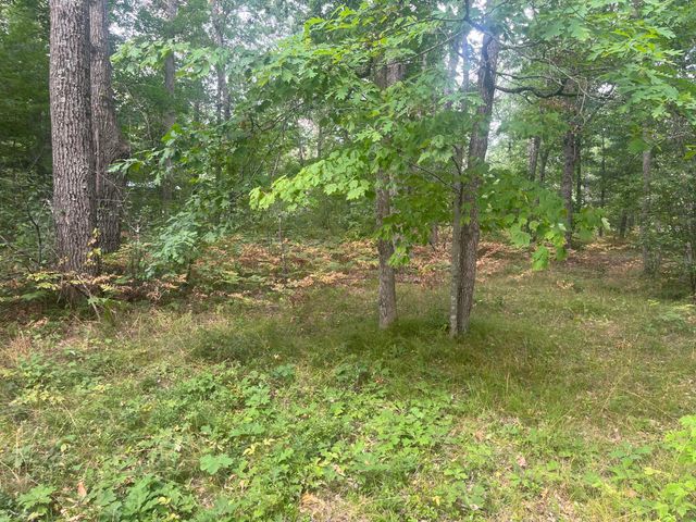 2535 W Wilderness Way, Baldwin, MI 49304