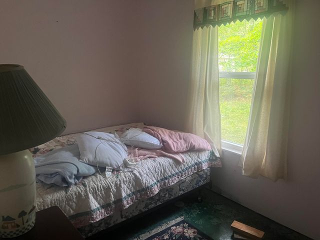 2535 W Wilderness Way, Baldwin, MI 49304