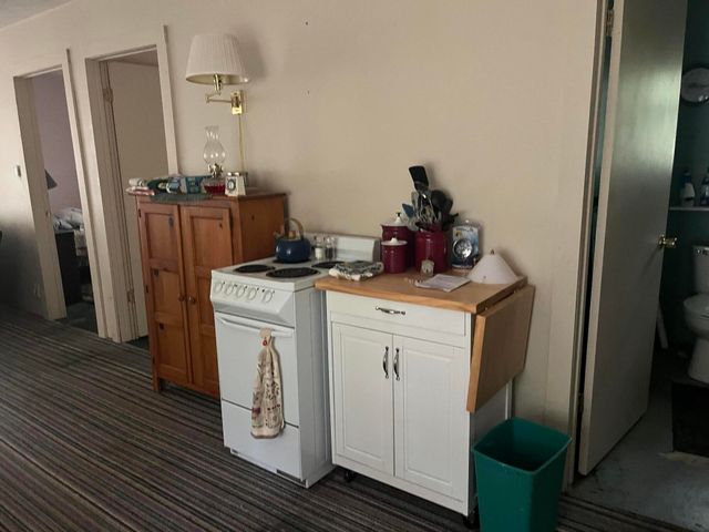 2535 W Wilderness Way, Baldwin, MI 49304