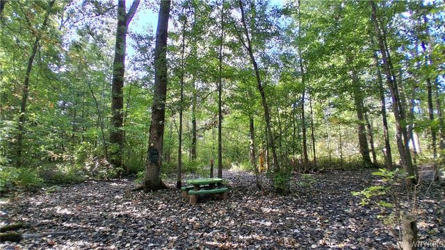 8420 Northfield Road, Clarence, NY 14032