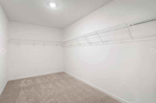 227 Idle Drive, Shelbyville, TN 37160