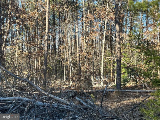 13009-13141 LAKE ANNA VILLAGE DRIVE, Spotsylvania, VA 22551