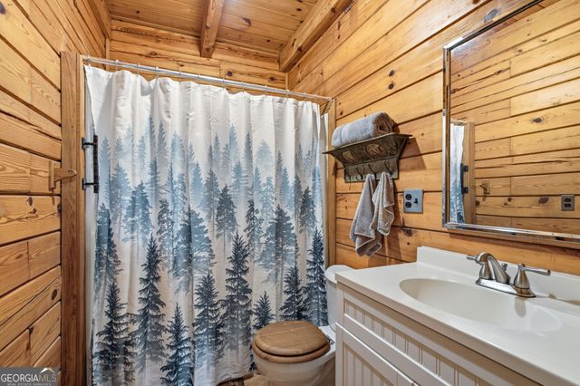 110 Seye Wailo Trail, Clarkesville, GA 30523