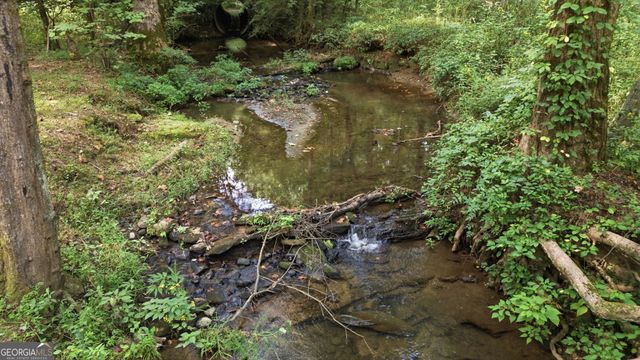 110 Seye Wailo Trail, Clarkesville, GA 30523