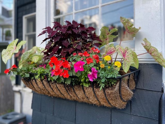 42 Oak St 42, Somerville, MA 02143