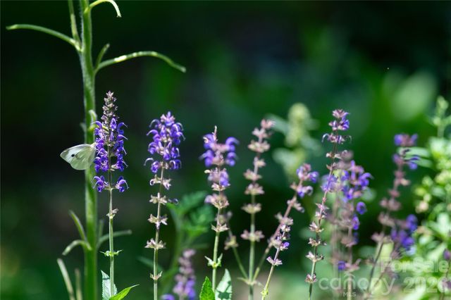 109 Paradise Circle, Clyde, NC 28721