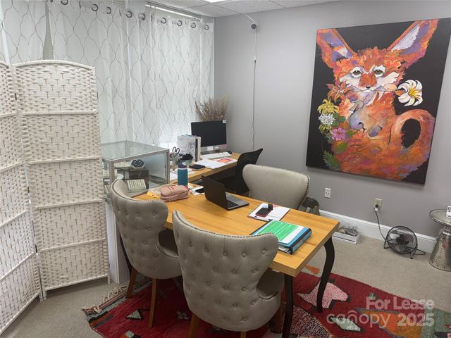 46 Haywood Street 215, Asheville, NC 28801