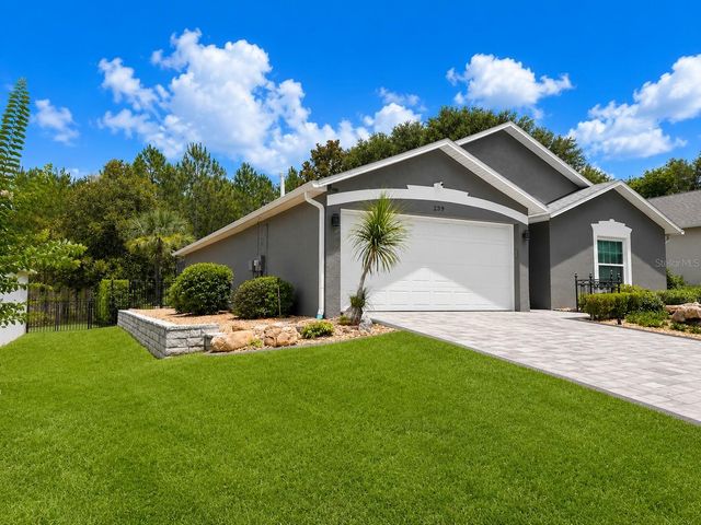 239 CHINA BERRY CIRCLE, Davenport, FL 33837