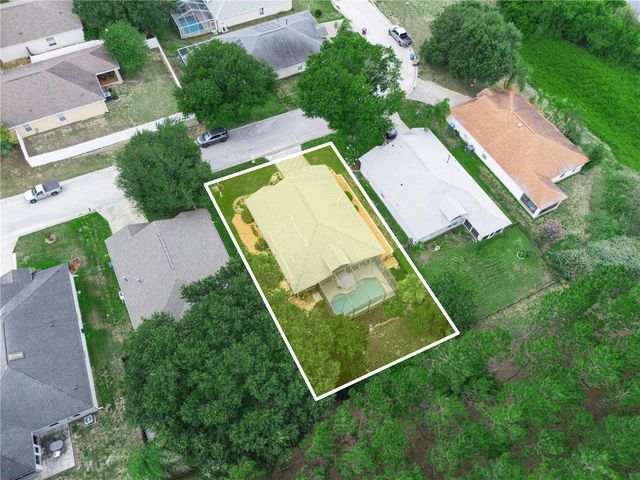 239 CHINA BERRY CIRCLE, Davenport, FL 33837