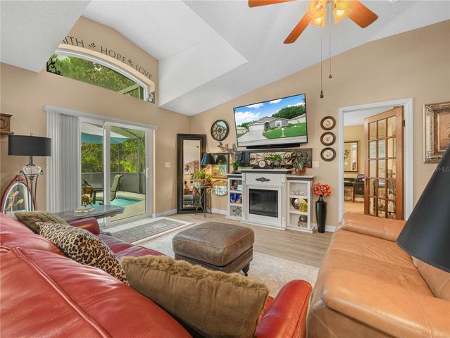 239 CHINA BERRY CIRCLE, Davenport, FL 33837
