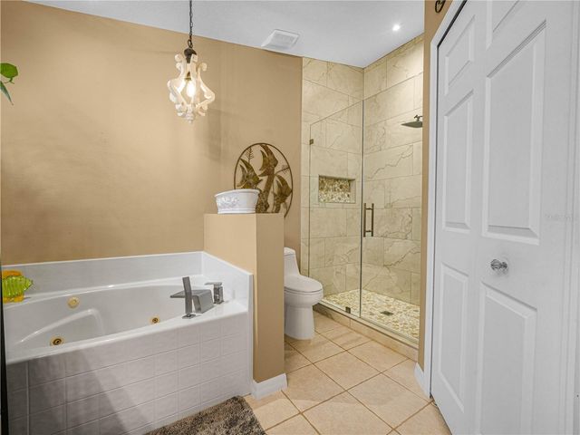 239 CHINA BERRY CIRCLE, Davenport, FL 33837