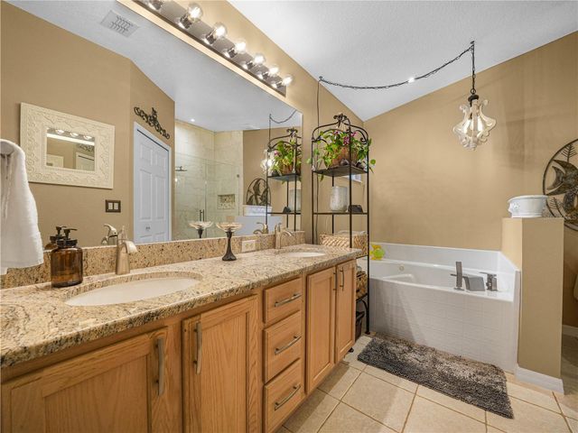 239 CHINA BERRY CIRCLE, Davenport, FL 33837