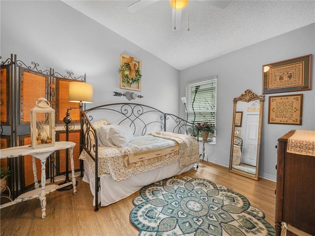 239 CHINA BERRY CIRCLE, Davenport, FL 33837