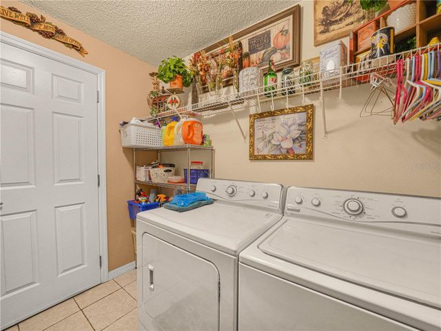 239 CHINA BERRY CIRCLE, Davenport, FL 33837