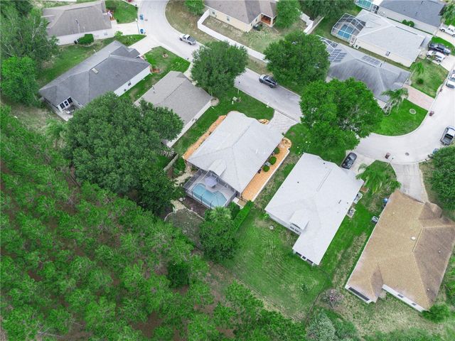 239 CHINA BERRY CIRCLE, Davenport, FL 33837