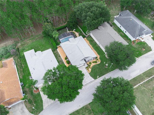 239 CHINA BERRY CIRCLE, Davenport, FL 33837