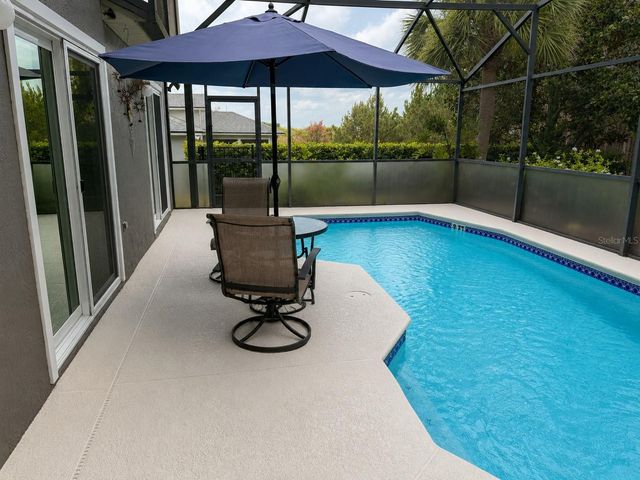 239 CHINA BERRY CIRCLE, Davenport, FL 33837