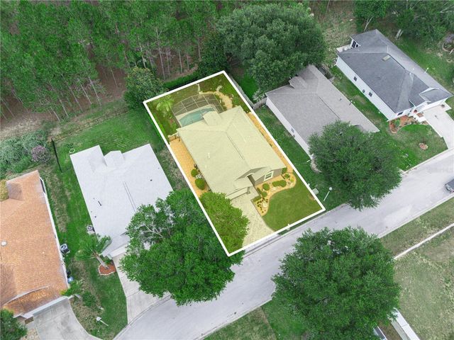 239 CHINA BERRY CIRCLE, Davenport, FL 33837