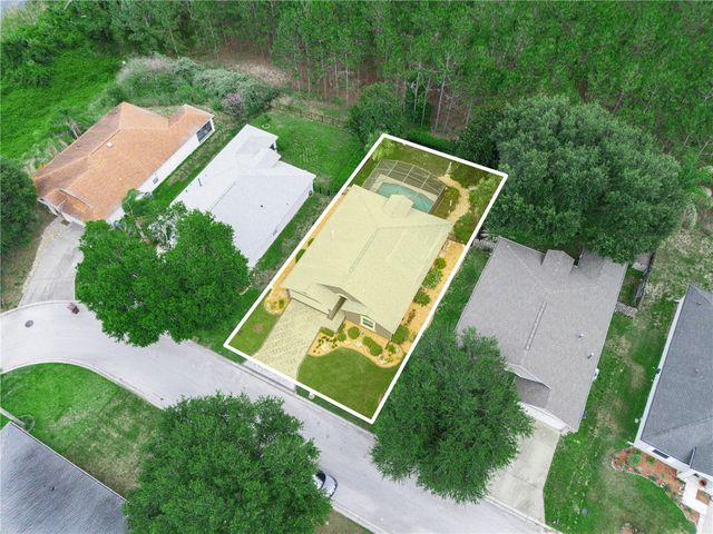 239 CHINA BERRY CIRCLE, Davenport, FL 33837