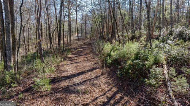0 Highway 356, Helen, GA 30545