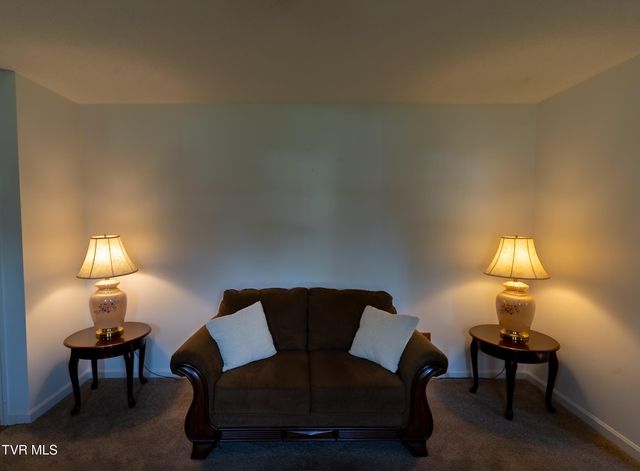 111 Fairlawn Drive, Johnson City, TN 37601