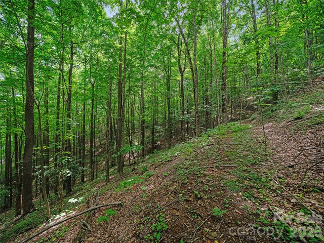 000 Shadow Moss Drive 8B, Burnsville, NC 28714
