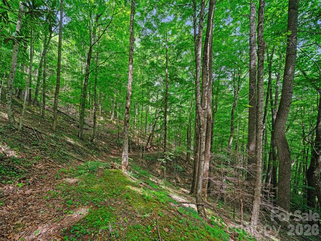 000 Shadow Moss Drive 8B, Burnsville, NC 28714