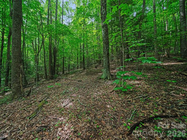 000 Shadow Moss Drive 8B, Burnsville, NC 28714