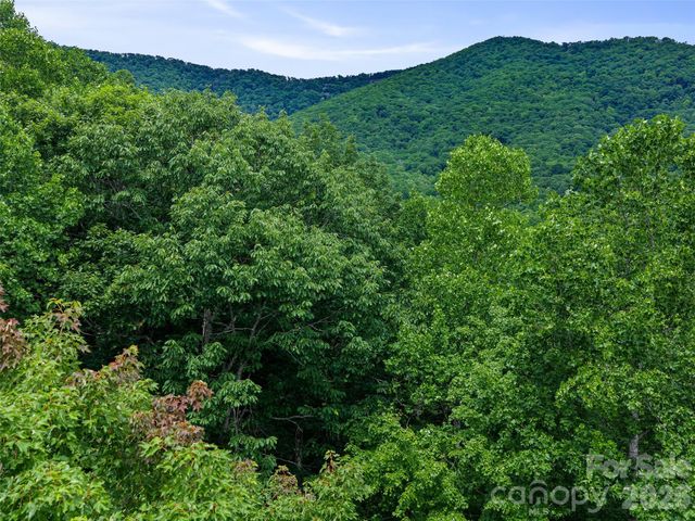 000 Shadow Moss Drive 8B, Burnsville, NC 28714
