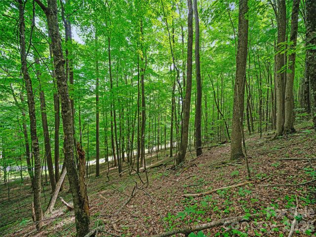 000 Shadow Moss Drive 8B, Burnsville, NC 28714