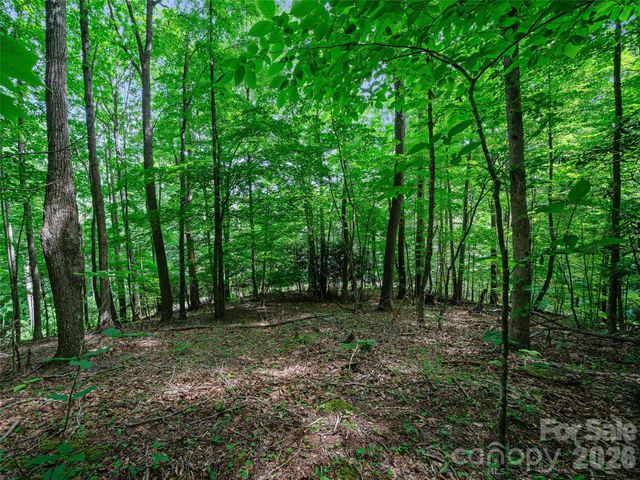 000 Shadow Moss Drive 8B, Burnsville, NC 28714