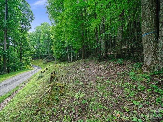 000 Shadow Moss Drive 8B, Burnsville, NC 28714