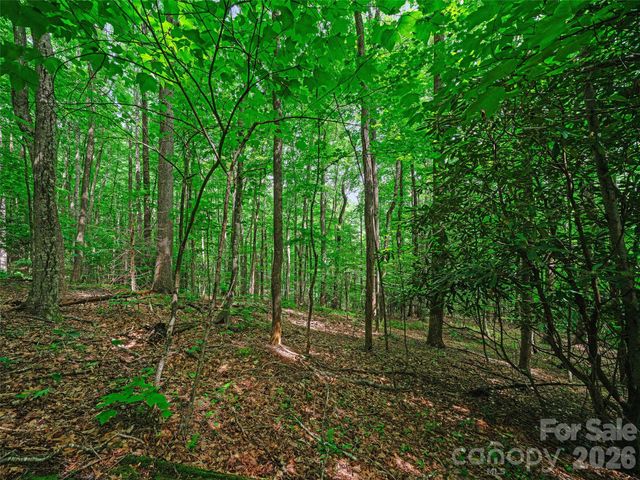 000 Shadow Moss Drive 8B, Burnsville, NC 28714
