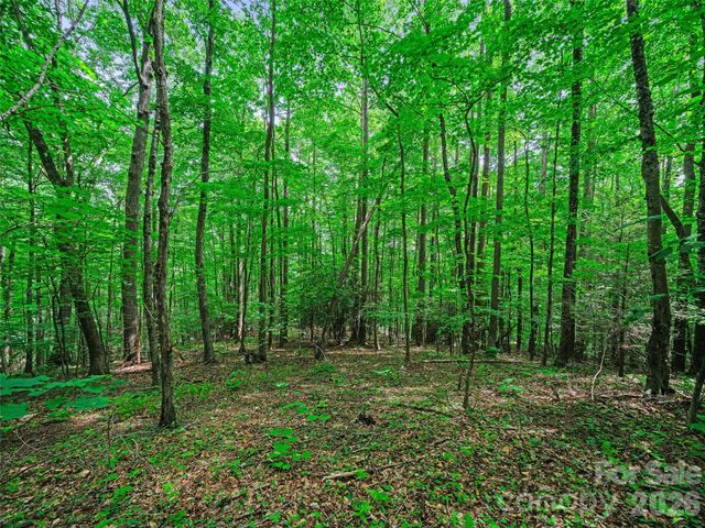 000 Shadow Moss Drive 8B, Burnsville, NC 28714