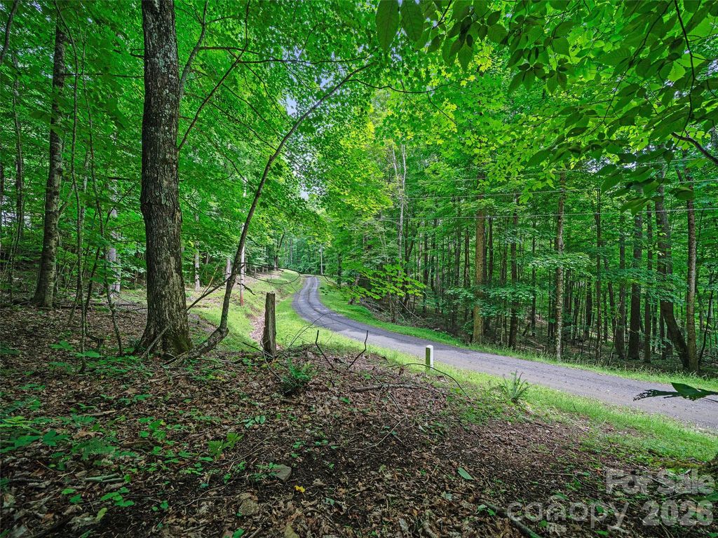 000 Shadow Moss Drive 8B, Burnsville, NC 28714