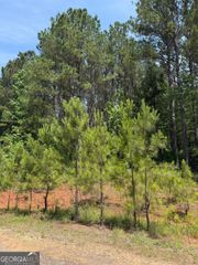 102 Lisa Woods Lane, Eatonton, GA 31024