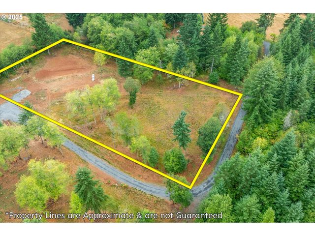 133 SILVERTHISTLE Rd, Winlock, WA 98596