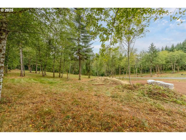 133 SILVERTHISTLE Rd, Winlock, WA 98596