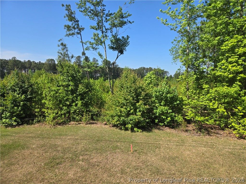 5242 Hummingbird Place, Fayetteville, NC 28312 — photo 4